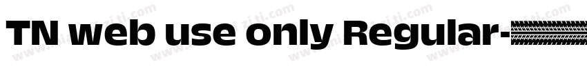 TN web use only Regular字体转换